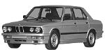 BMW E28 P1CAD Fault Code